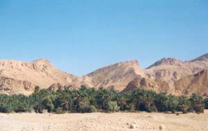 Chebika Oasis