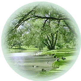 Stream