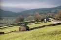 Reeth